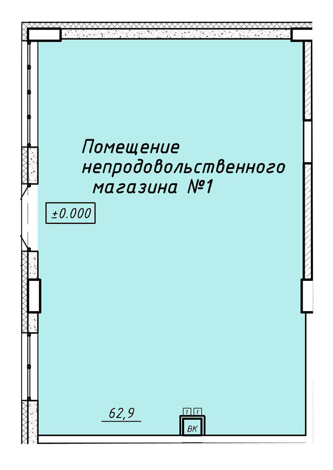 1 этаж Помещение непродовольственного магазина -1